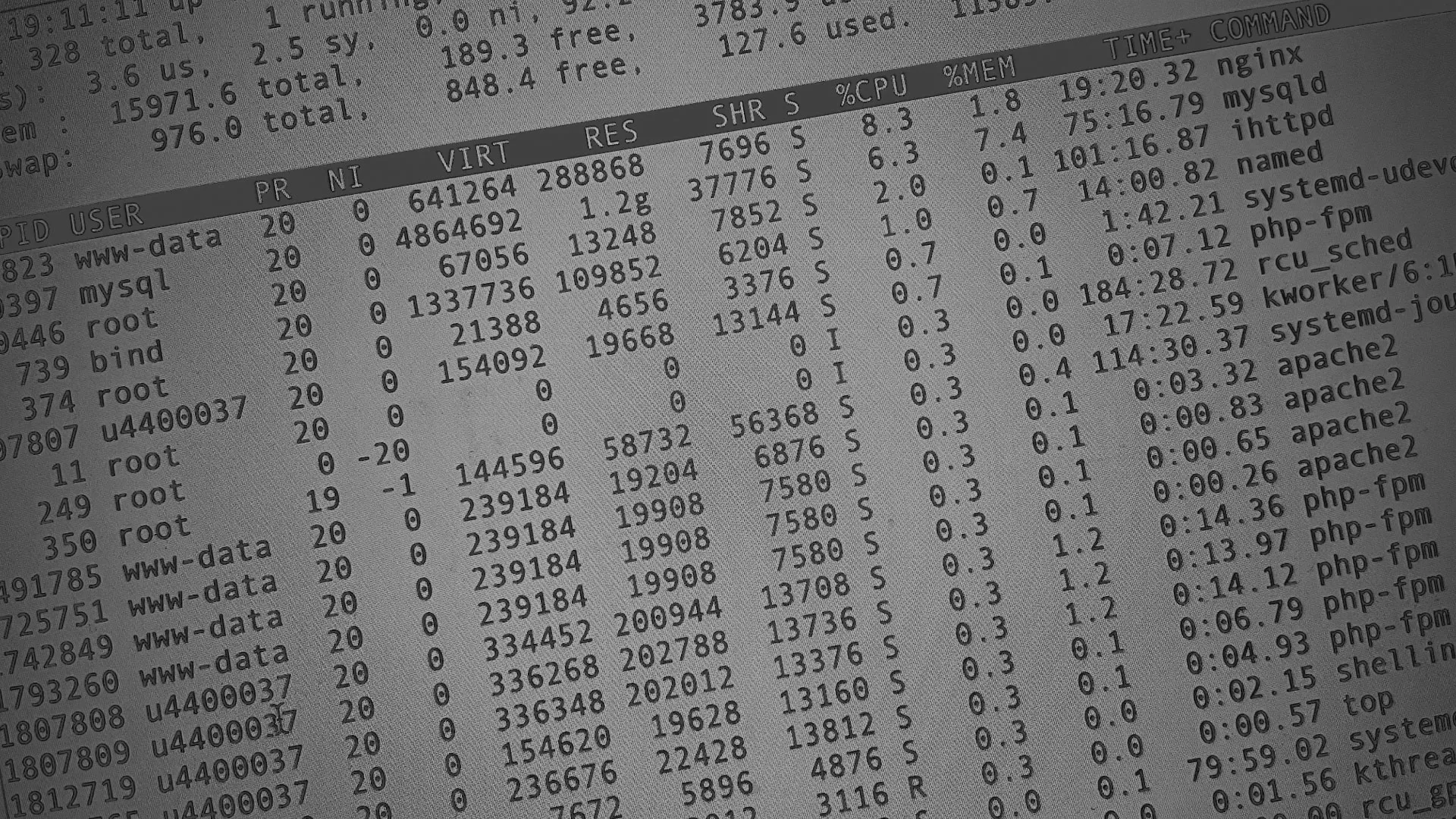 Настройка сервера в Ершове