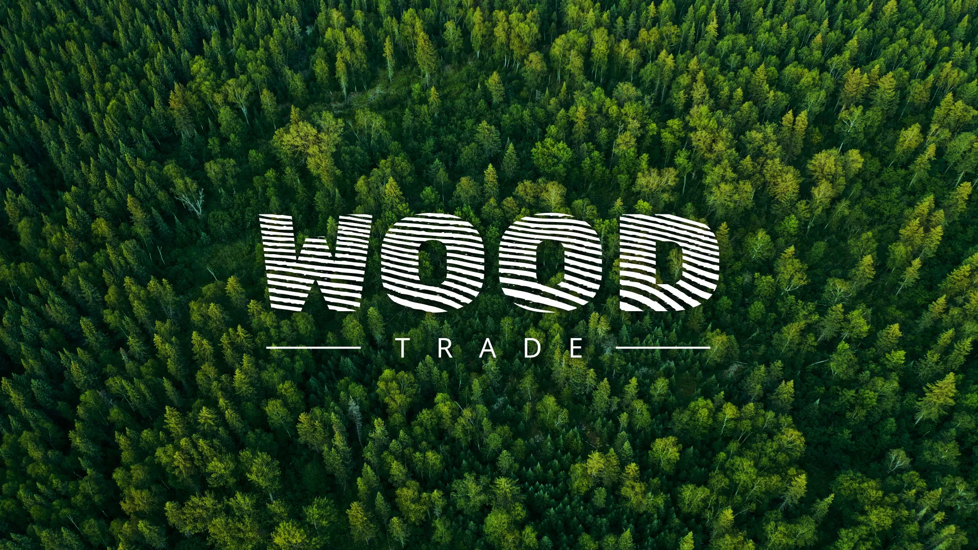 Разработка интернет-магазина компании «Wood Trade» в Ершове