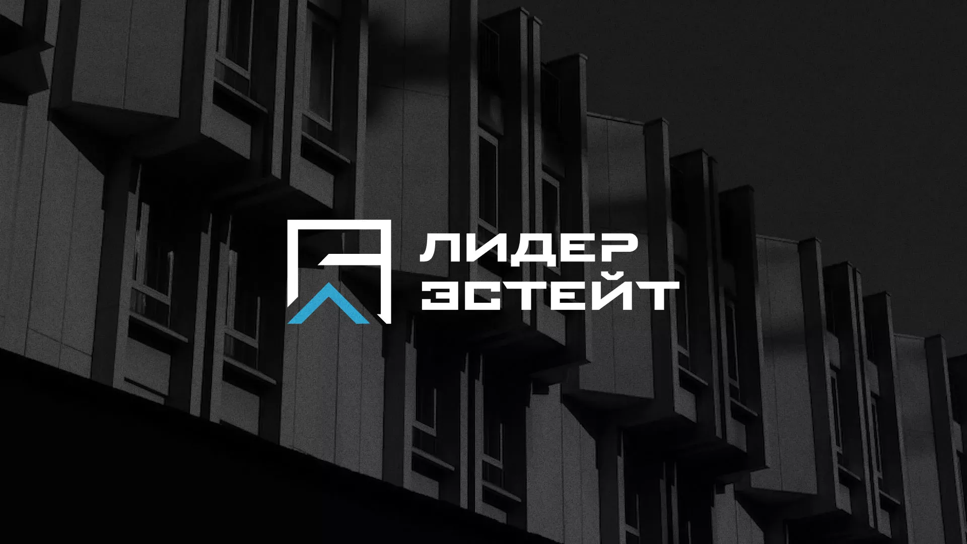 Разработка логотипа агентства недвижимости «Лидер Эстейт» в Ершове